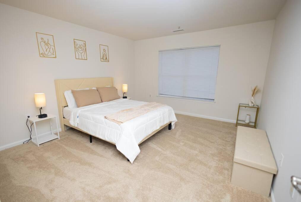 Perfect Stay! 1 Bedroom Mins To Dc Arlington Exterior foto
